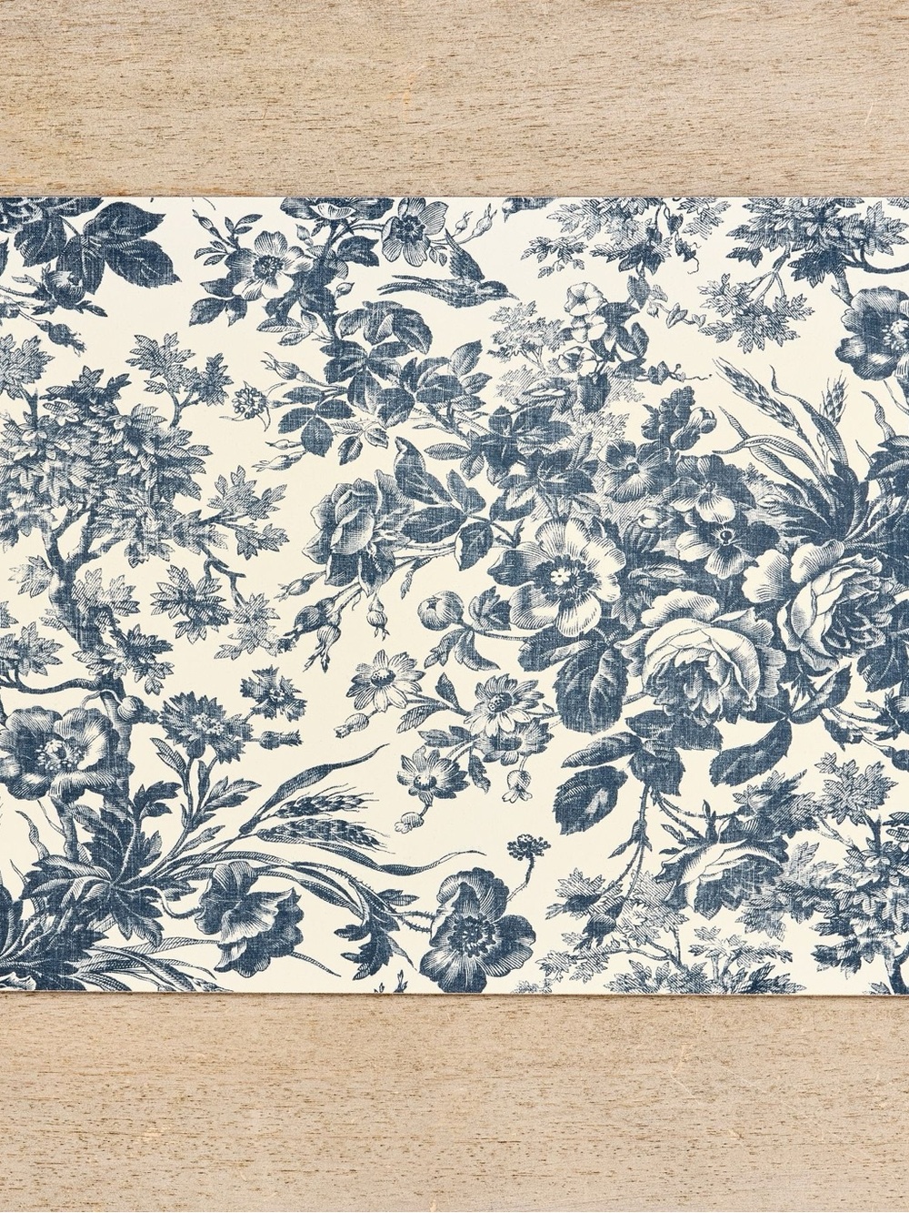 SORREL TOILE CORK PLACEMAT set of 4